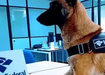 Divulgação / Receita Federal