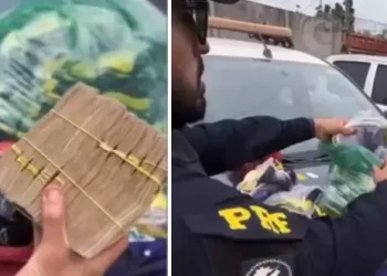 Reprodução / Portal O Estado Net