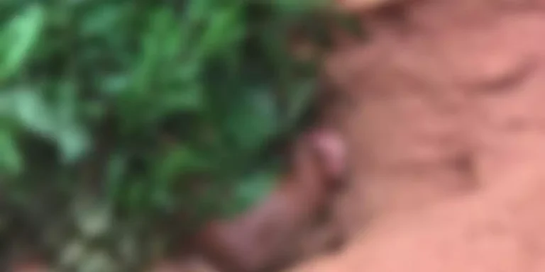 Corpo foi encontrado num dia, mas só pôde ser removido no outro. (Reprodução / Via 24 Horas News)