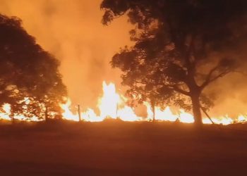 Vídeo: Incêndio deixa moradores de Senador José Porfírio preocupados