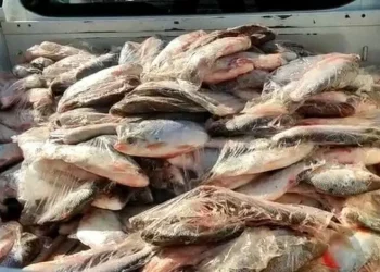 Foto: Reprodução da internet