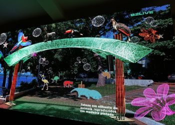 Foto: Wilson Soares / A Voz do Xingu