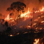 Força Nacional é autorizada para atuar no combate e nas investigações de incêndios florestais no Pará