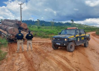 PRF apreende 27 m³ de madeira ilegal, em Uruará/PA