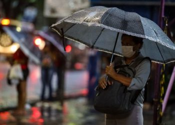 Foto: Agência Pará