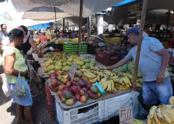 Cristino Martins / O Liberal
