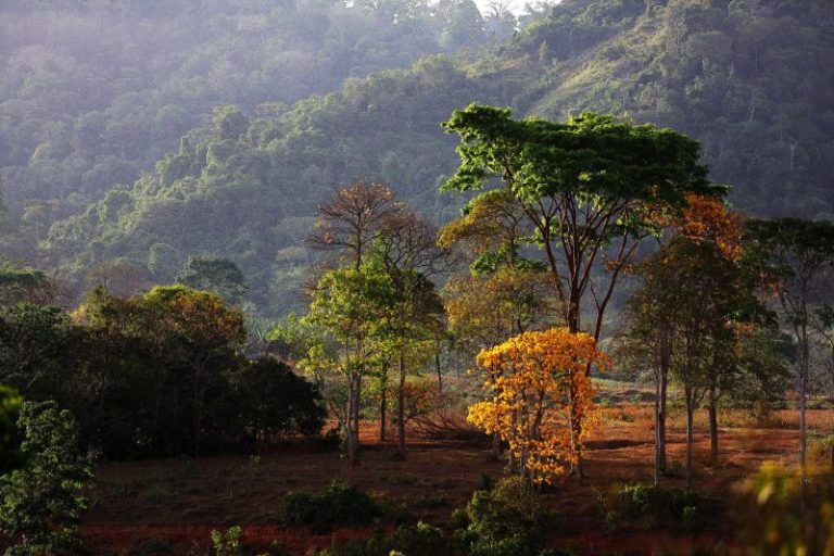 Foto: Bruno Cecim / Ag.Pará