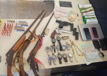 Foto: Reprodução / Polícia Civil