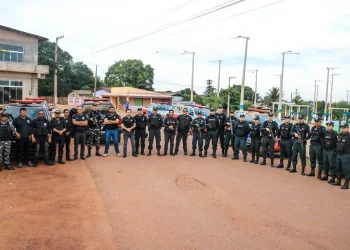 Foto: Polícia Civil / Divulgação