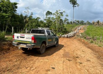 Operação apreende motocicletas e armas de fogo e desmonta barracos na Terra Indígena Ituna-Itatá, no Pará