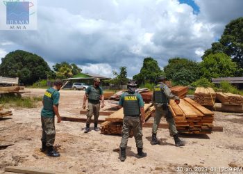 Foto: Divulgação/Ibama
