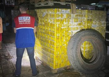 Foto: Agência Pará