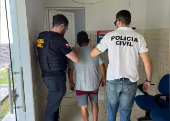 O acusado ficará à disposição da Justiça. (Divulgação / PC)