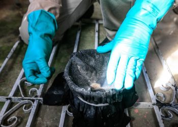 Foto: Agência Pará