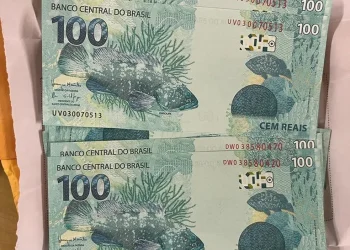 PF prende homem que recebeu notas falsas pelos correios. — Foto: Divulgação