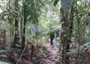 Estuprador foi localizado em área de mata, local por onde costumava fugir em outras ocasiões. (Redes Sociais)