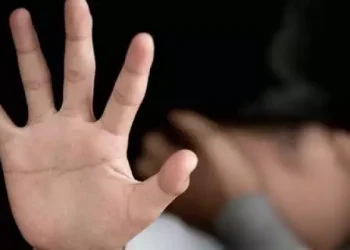 De janeiro a novembro de 2021, foram 2.511 ocorrências de estupro de vulneráveis. (Reprodução/ site/ PCDF)