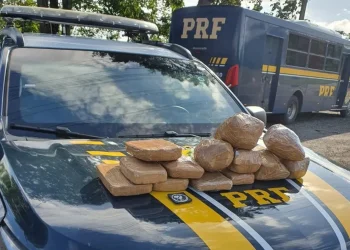 Droga foi apreendida pela PRF dentro de mochila de passageiro de van — Foto: PRF/Divulgação