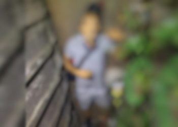 Foto: Portal Plantão 24horas News