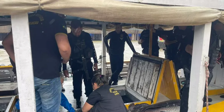 As investigações da polícia apontaram que a embarcação onde a droga estava vinha de Manaus, no Amazonas. (Reprodução / Semma Santarém)