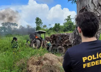 Foram mobilizados 20 policiais e quatro servidores do Ibama para a missão (Divulgação/PF)
