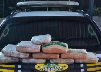 A suspeita confessou aos policiais que receberia a quantia de R$ 3.000,00 pelo transporte da maconha (Divulgação / PRF)