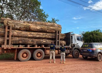 PRF apreende 30 m³ de madeira ilegal, em Rurópolis/PA