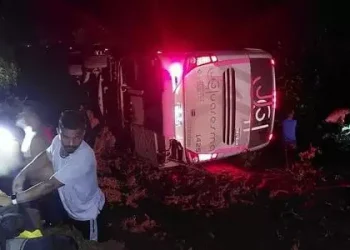 Delegação de indígenas sofre acidente na rodovia BR-163 (Foto: Divulgação / CITA)