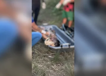 Corpo de Alecsander Guimarães Sales sendo removido para necropsia — Foto: Lívia Régis / g1