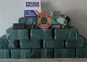 Polícia apreendeu 465 kg de cloridato de cocaína. — Foto: Polícia