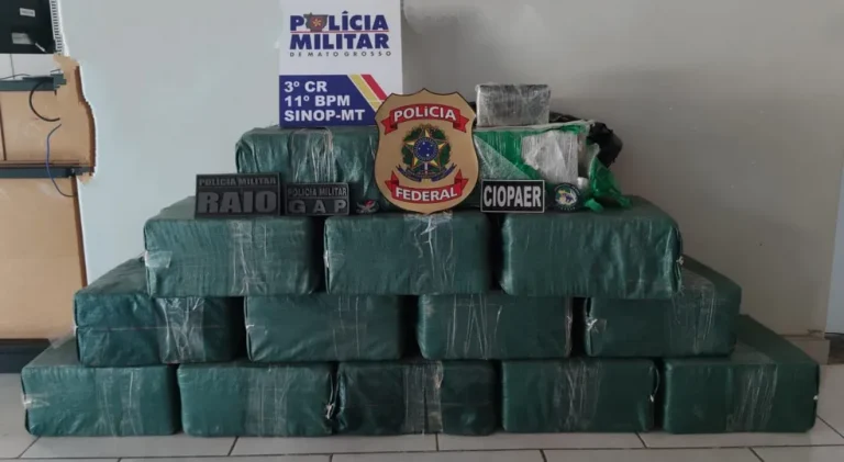 Polícia apreendeu 465 kg de cloridato de cocaína. — Foto: Polícia