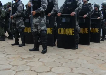 Operação 'Curupira' mira crimes ambientais dentro da APA Triunfo do Xingu, a área de preservação estadual mais desmatada da Amazônia. — Foto: Taymã Carneiro / g1