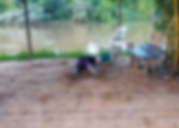 Reprodução: Redes Sociais