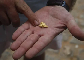 Ouro extraído de garimpo ilegal da Amazônia. — Foto: AP Photo/Edmar Barros