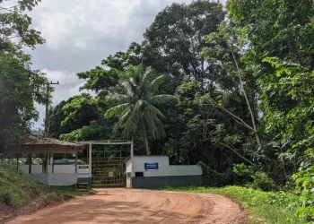 Portão de acesso ao Centro de Recuperação Agrícola Silvio Hall de Moura, em Santarém — Foto: Dominique Cavaleiro / g1