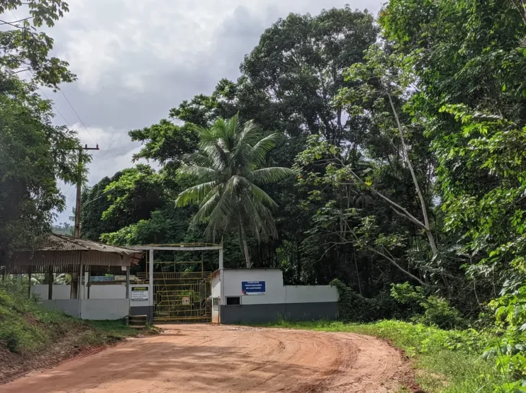 Portão de acesso ao Centro de Recuperação Agrícola Silvio Hall de Moura, em Santarém — Foto: Dominique Cavaleiro / g1