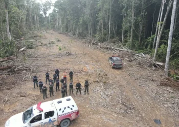 Área desmatada de Uruará. — Foto: Divulgação/BPA