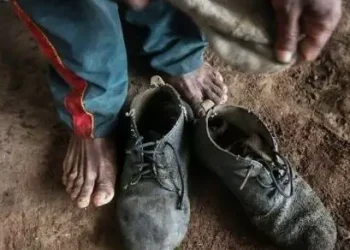 No local, foram apreendidas armas de fogo e motosserras e um homem foi encontrado amarrado pelas costas e deitado no chão (Reprodução via Conect Brasil (imagem ilustrativa)