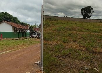 Uma plantação de soja fica próximaà Escola Vitalina Motta, em Belterra, - Créditos: Divulgação/Ibama