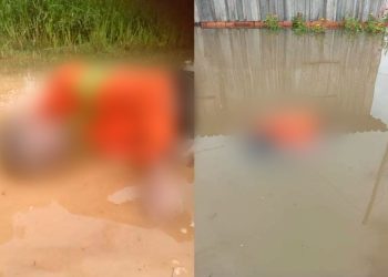 Reprodução Portal Debate