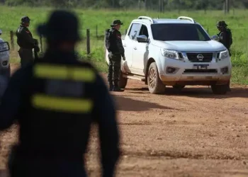 Entre os materiais apreendidos estão oito armas de fogo, 153 munições, 10 motores-bomba, 100 sacas de carvão, 35 cabeças de gado e 8 mil litros de combustível. (Marcelo Seabra/ Ag. Pará)
