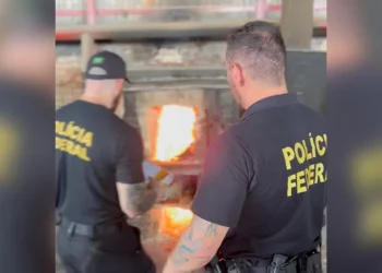 Polícia Federal incinerando drogas em Santarém, no oeste do Pará — Foto: PF / Divulgação