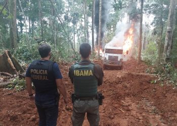 Foto: Divulgação/PF