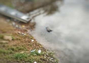 Foto: Reprodução das Redes Sociais