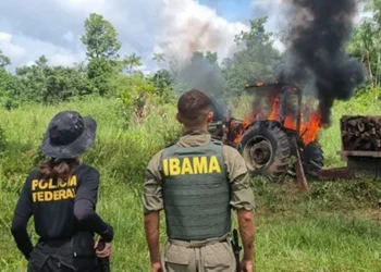 A estratégia do Ibama no governo Lula para coibir crimes ambientais