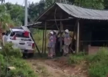 A operação foi deflagrada pelo Departamento de Operações Especiais (Dioe), da Polícia Civil, em conjunto com a Delegacia do Meio Ambiente (DEMA), Centro de Perícias Científicas Renato Chaves (CPC) e Equatorial Energia Pará. (Reprodução/ Redes sociais)