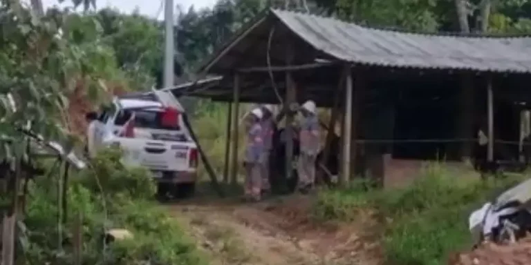 A operação foi deflagrada pelo Departamento de Operações Especiais (Dioe), da Polícia Civil, em conjunto com a Delegacia do Meio Ambiente (DEMA), Centro de Perícias Científicas Renato Chaves (CPC) e Equatorial Energia Pará. (Reprodução/ Redes sociais)