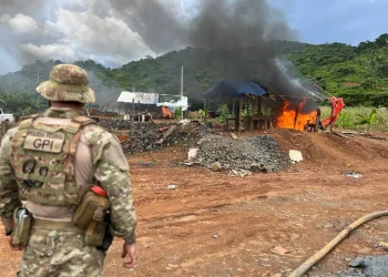 Agentes federais usaram fogo para destruir materiais apreendidos em garimpos ilegais no Pará — Foto: PF/Divugação