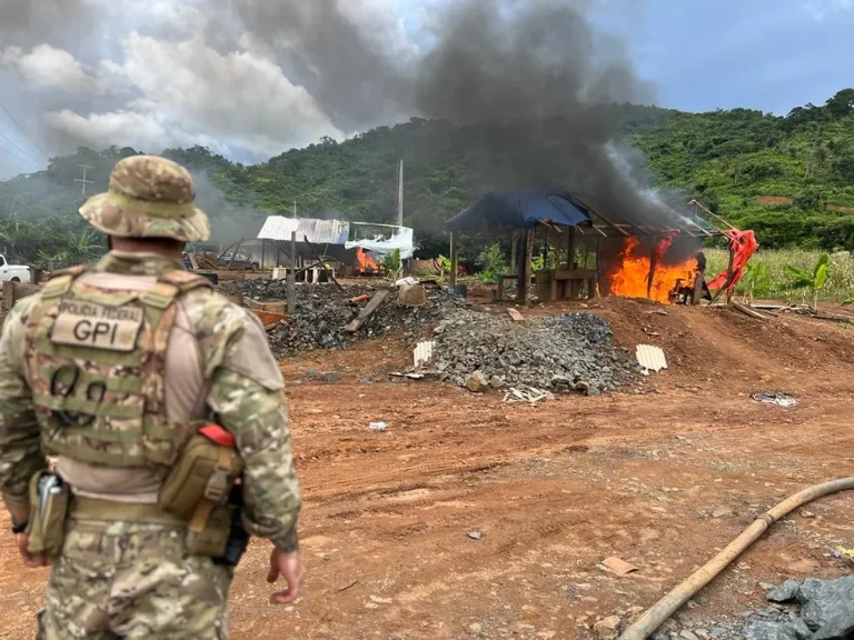 Agentes federais usaram fogo para destruir materiais apreendidos em garimpos ilegais no Pará — Foto: PF/Divugação