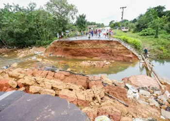 As PAs 252, 150 e 481 estão interditadas, sinalizadas e recebendo obras de recomposição. — Foto: Agência Pará